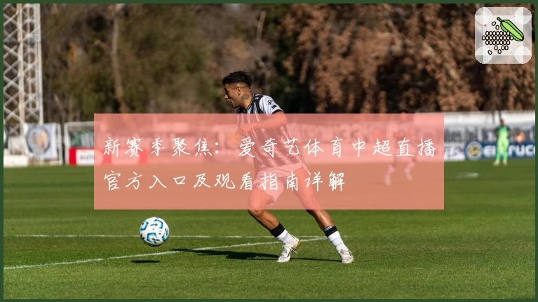 新赛季聚焦：爱奇艺体育中超直播官方入口及观看指南详解